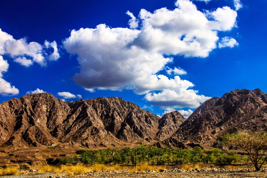 Experience Fujairah’s Mountains and Coastline on an Unforgettable Road Trip