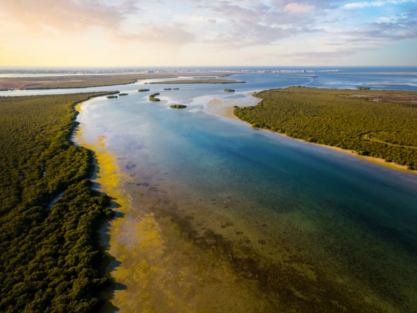 Umm Al Quwain Road Trip with Beaches, Mangroves, and Coastal Stops
